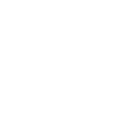 Fortress Energy 